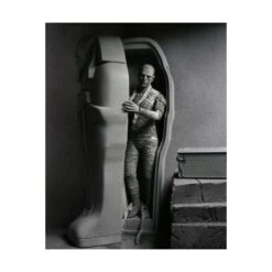 Neca Universal Monsters Ultimate The Mummy Black & White -Negozio JapanWorld economico neca universal monsters ultimate the mummy black white 8