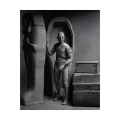 Neca Universal Monsters Ultimate The Mummy Black & White -Negozio JapanWorld economico neca universal monsters ultimate the mummy black white 9