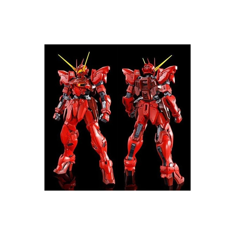 P-Bandai Master Grade MG 1/100 Mobile Suit Gundam ZGMF-X12A Testament Gundam 2 P-Bandai Master Grade MG 1/100 Mobile Suit Gundam ZGMF-X12A Testament Gundam - immagine 2